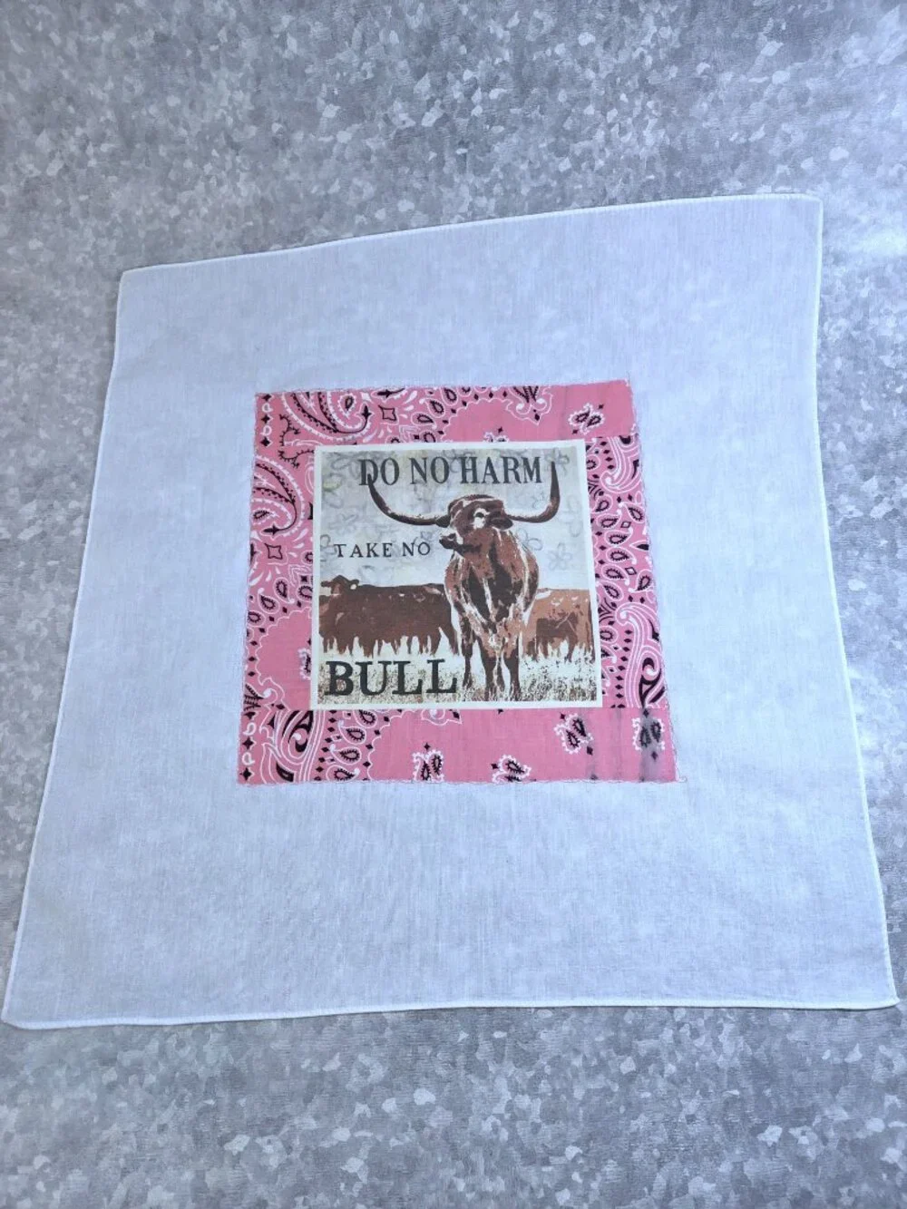 Handcrafted Up-Cycled Bandana Take No Bull